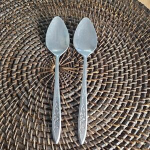 National Stainless CHARMANTE Japan Set of 2 Spoons
